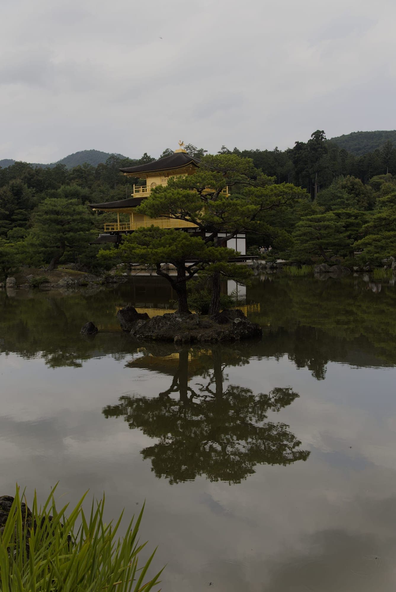 Japan 6431